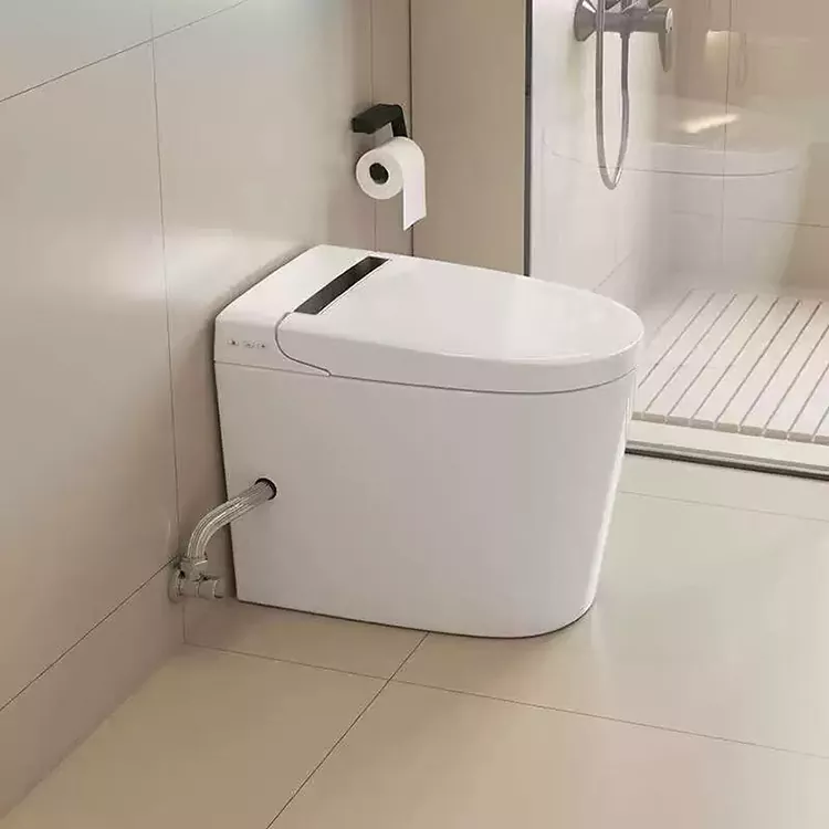 Sodobno minimalistično pametno stranišče